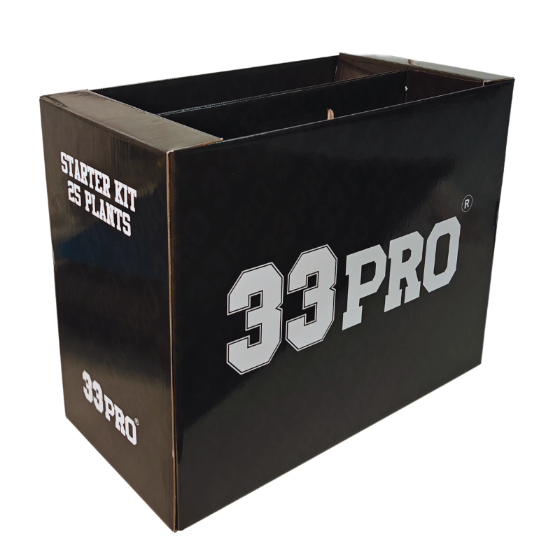 STARTER BOX 33PRO