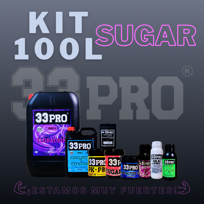 KIT 100L PRO SUGAR