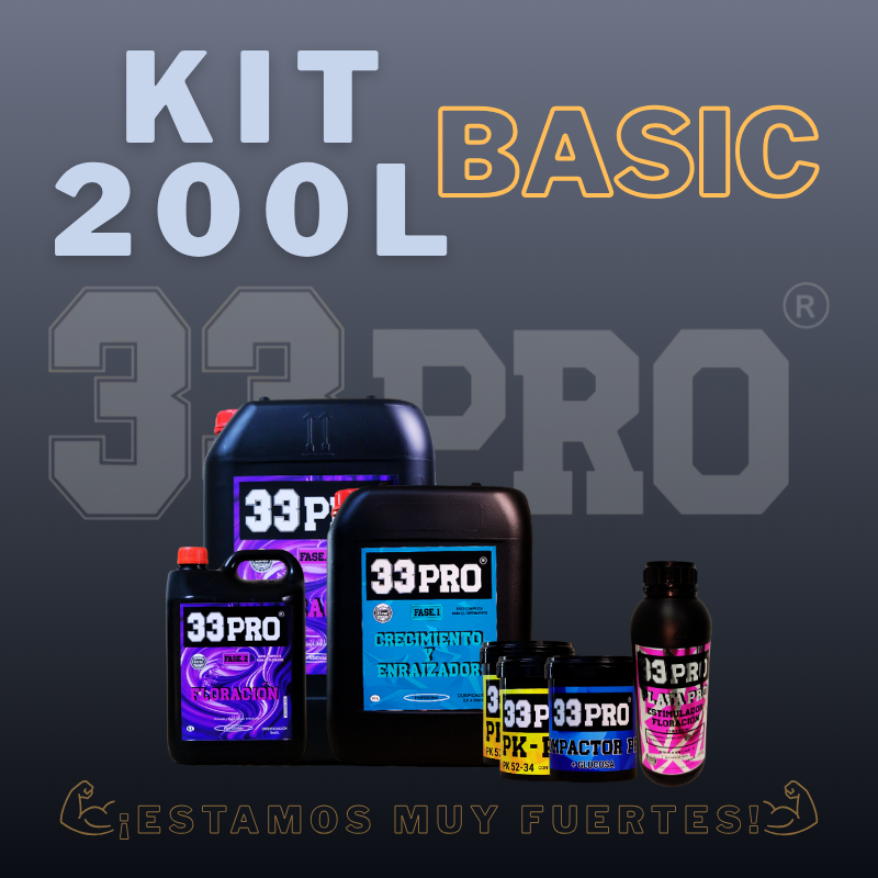 KIT 200L BASIC