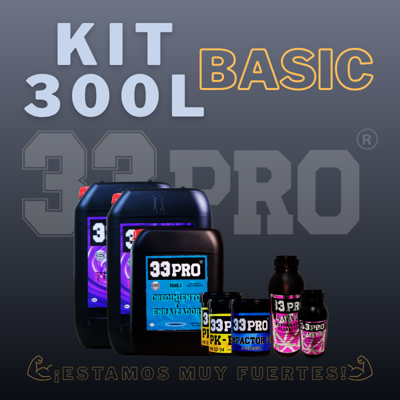 KIT 300L BASIC
