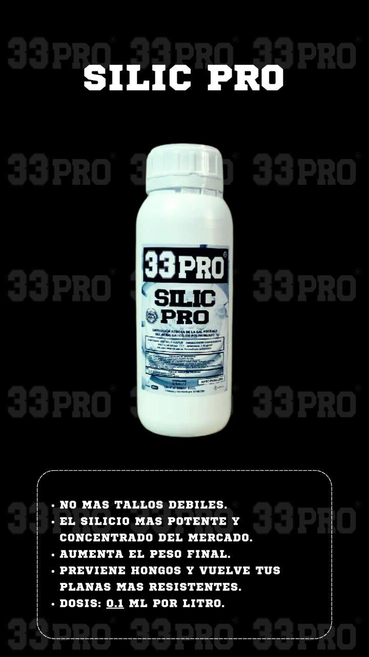 SILIC PRO 33PRO